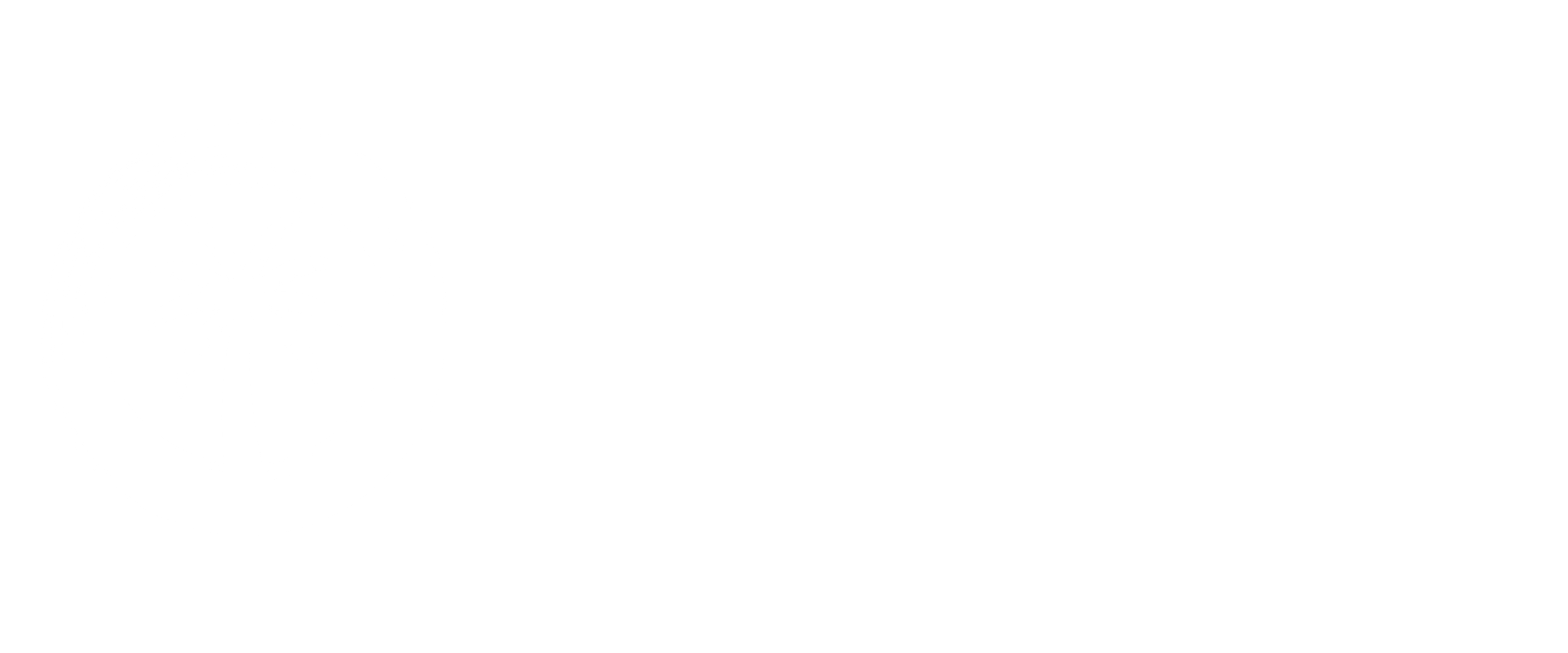 Blue Palm Real Estate